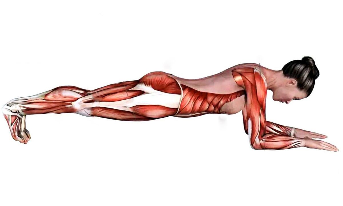 cosa lavorano i muscoli quando si fa il plank